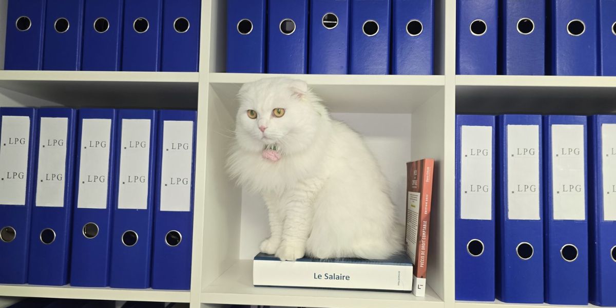 LPG luxembourg : expertise en secrétariat social
